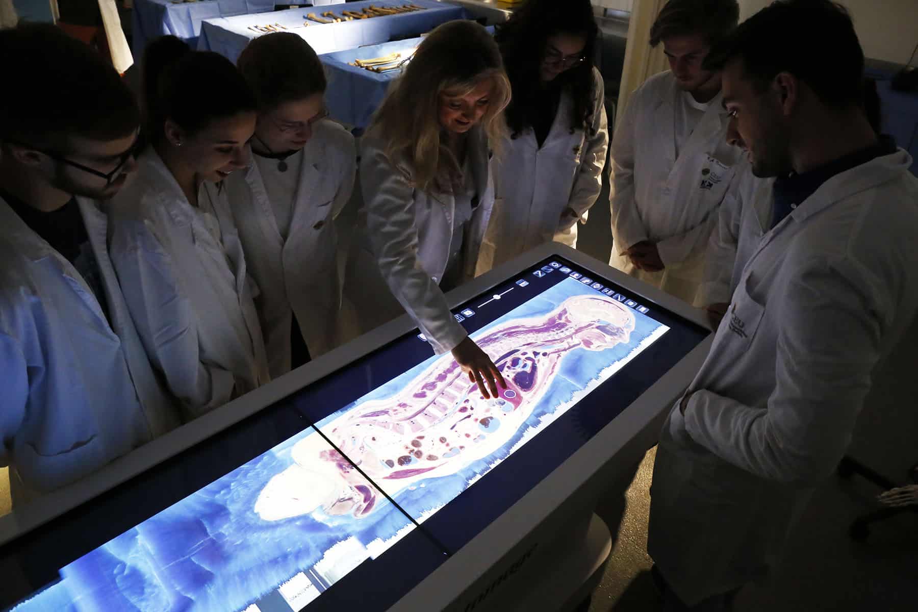 LAB ANATO